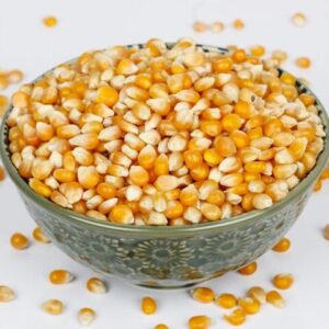 Yellow Corn animal feed